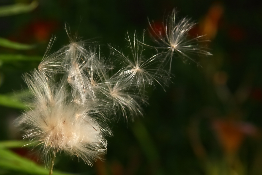 2011 07 26 IMG 34460
